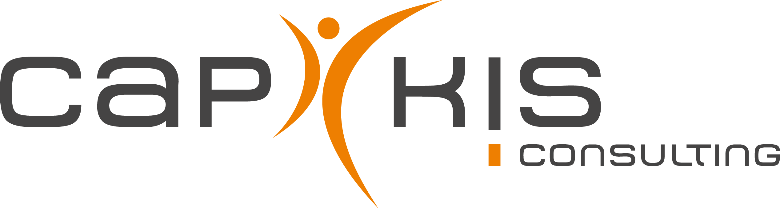 logo capkis transparent gris